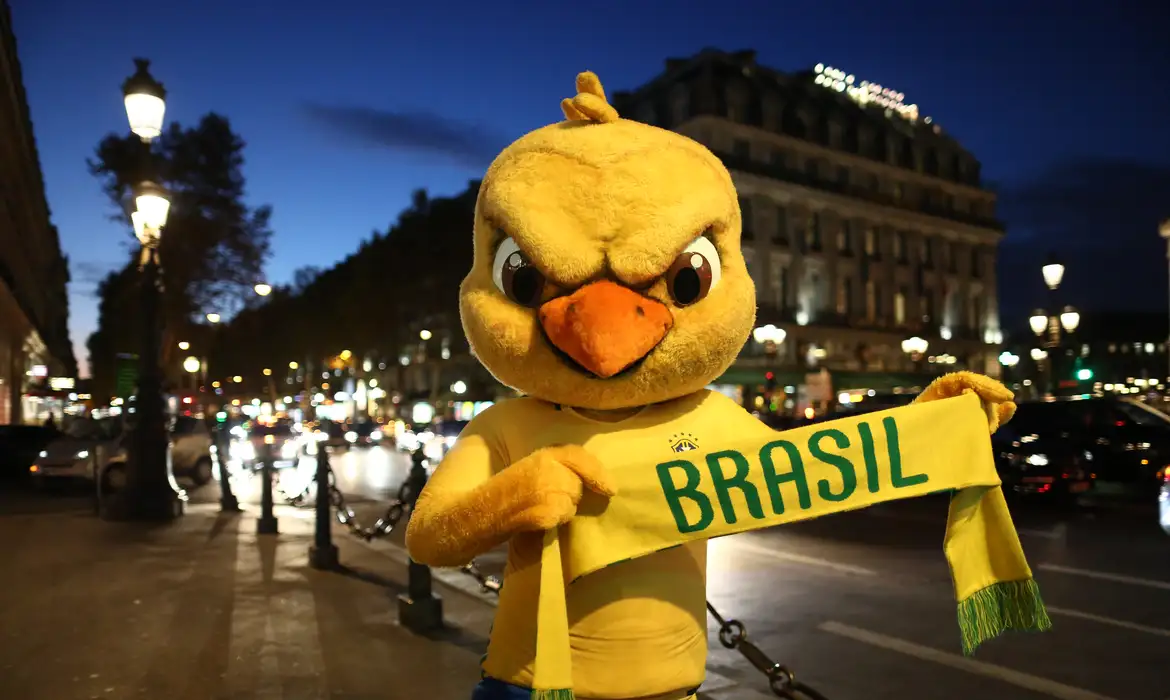 Canarinho seleção brasileira