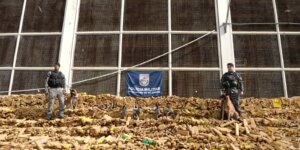 RJ: Operação na Maré apreende recorde de 48 toneladas de drogas